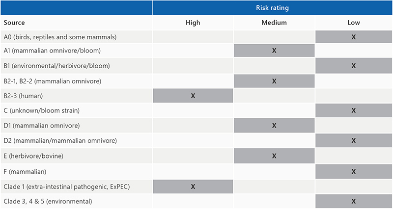 E.coli risk ratings table